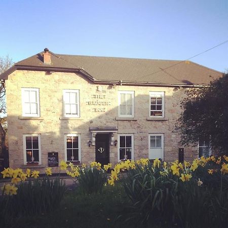 The Badger Inn Carbis Bay Exterior foto