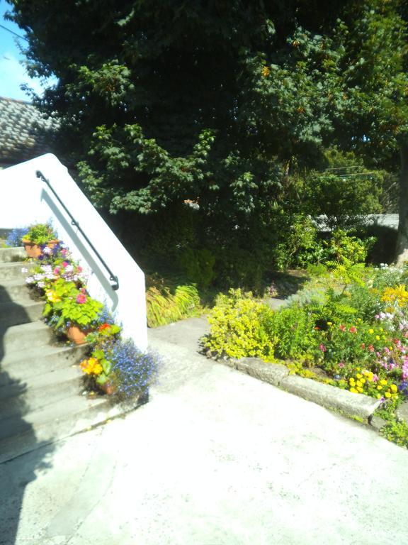 The Badger Inn Carbis Bay Exterior foto